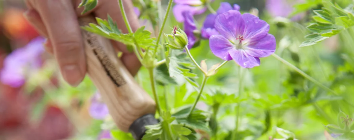 Productos de alta calidad para el hogar y el jardín