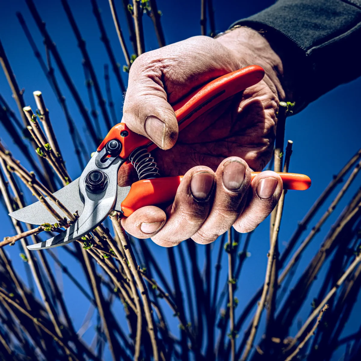 Tijeras de jardinería Löwe 14.107 Economic Clean Cut para manos pequeñas
