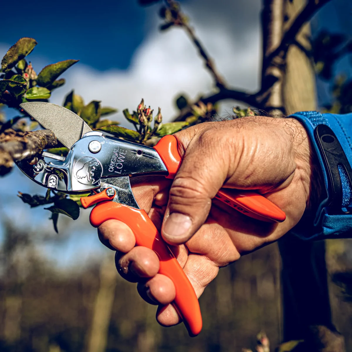Tijeras de taller Löwe 2.107 Ajuste de la anchura del mango Mango para manos pequeñas