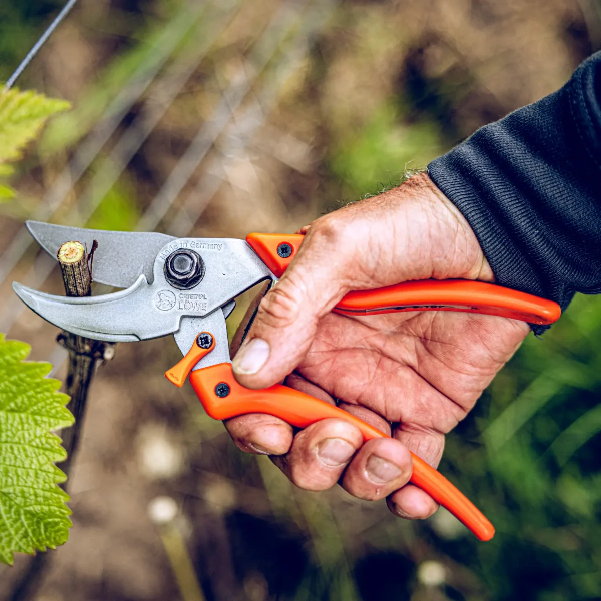 Tijeras de jardinería Löwe 9.107 Bypass Professional Clean Cut