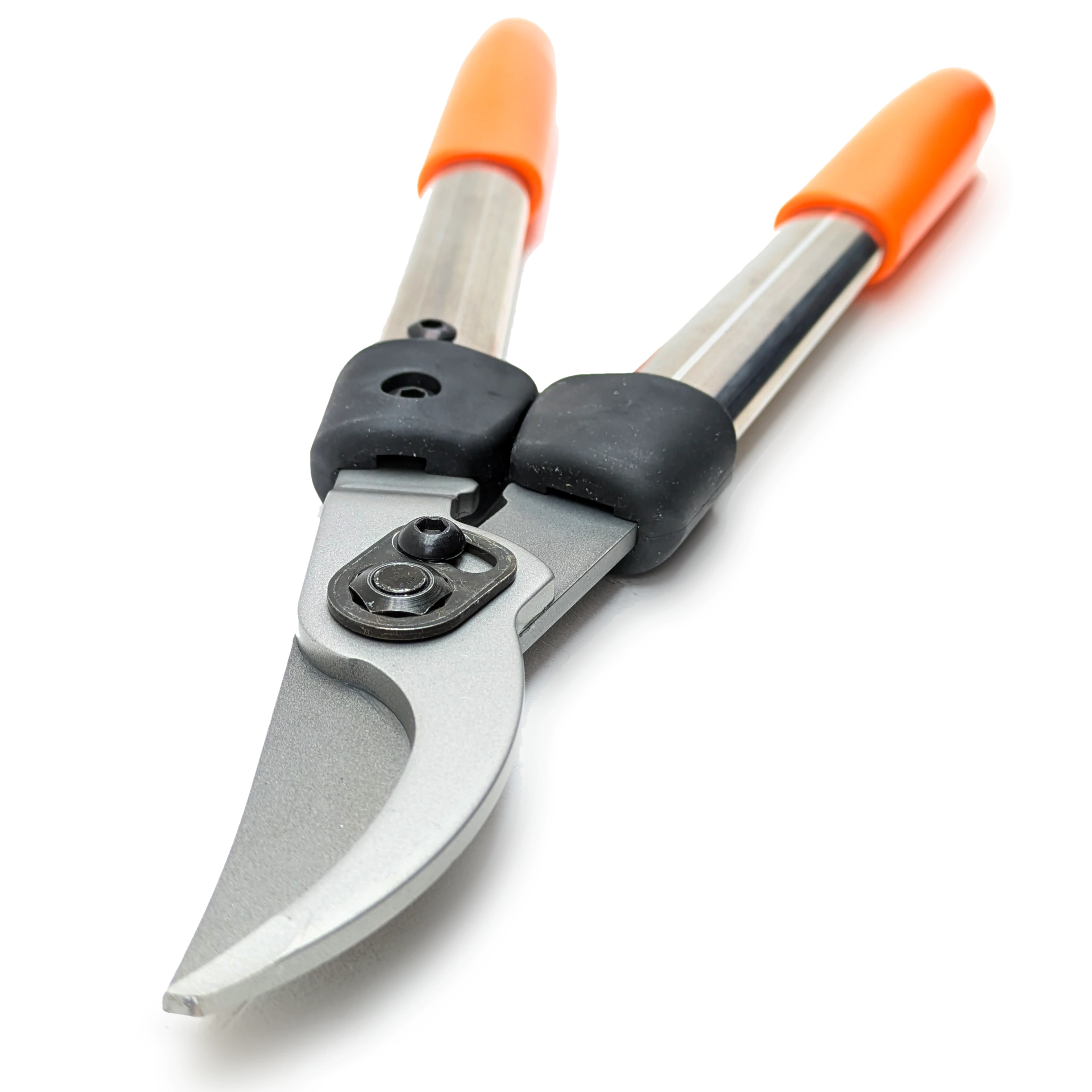 Löwe Astschere 31 40 cm klein