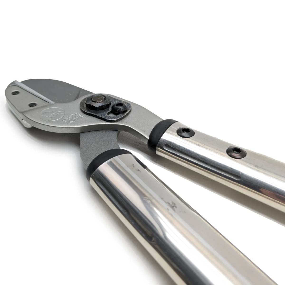 Cortasetos de león 20 50 cm